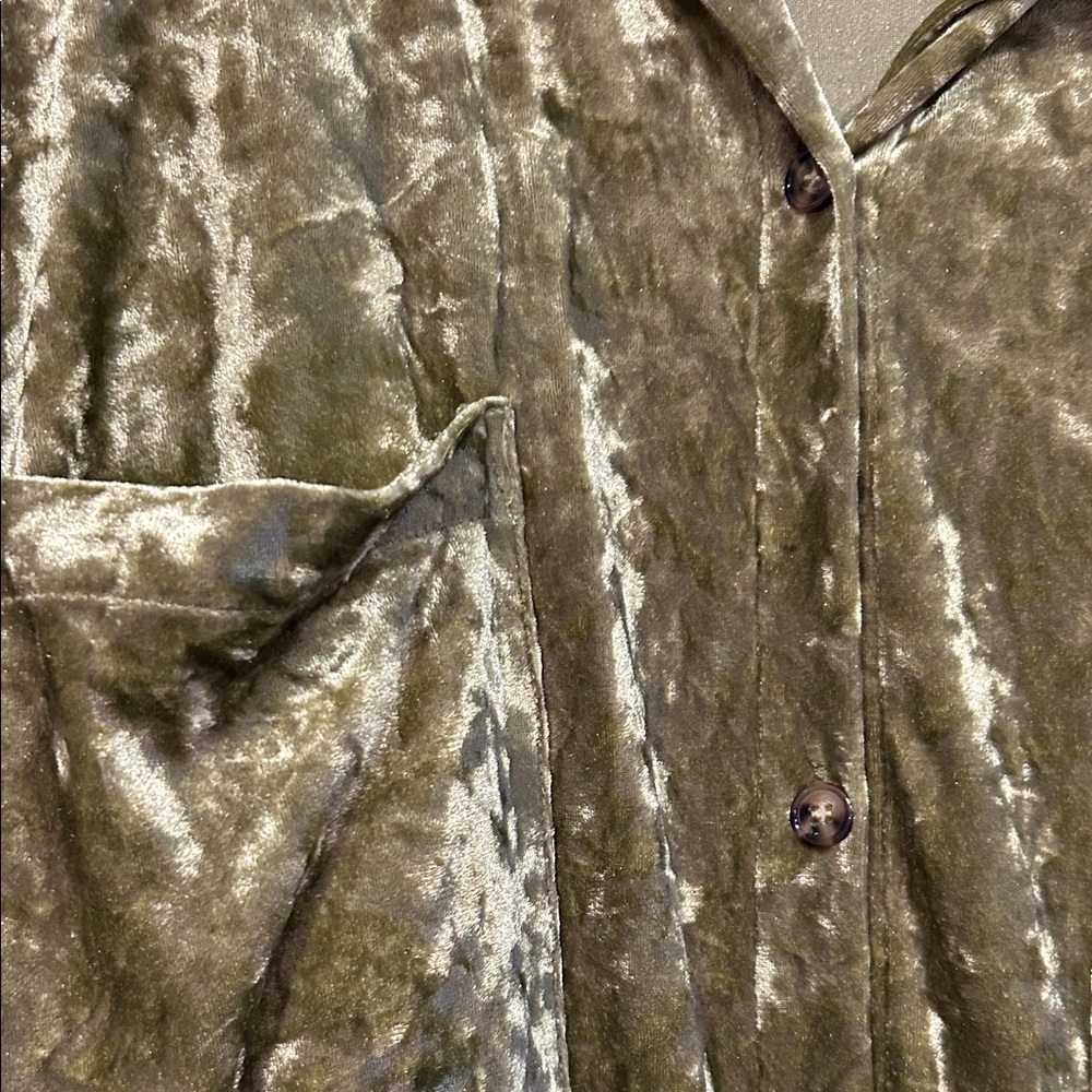 Green Velvet Button-Up Shirt Dress - Picture 4 of 6